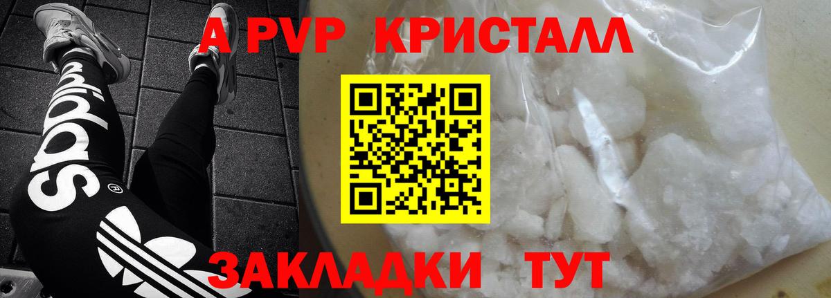 A PVP СК КРИС Клинцы