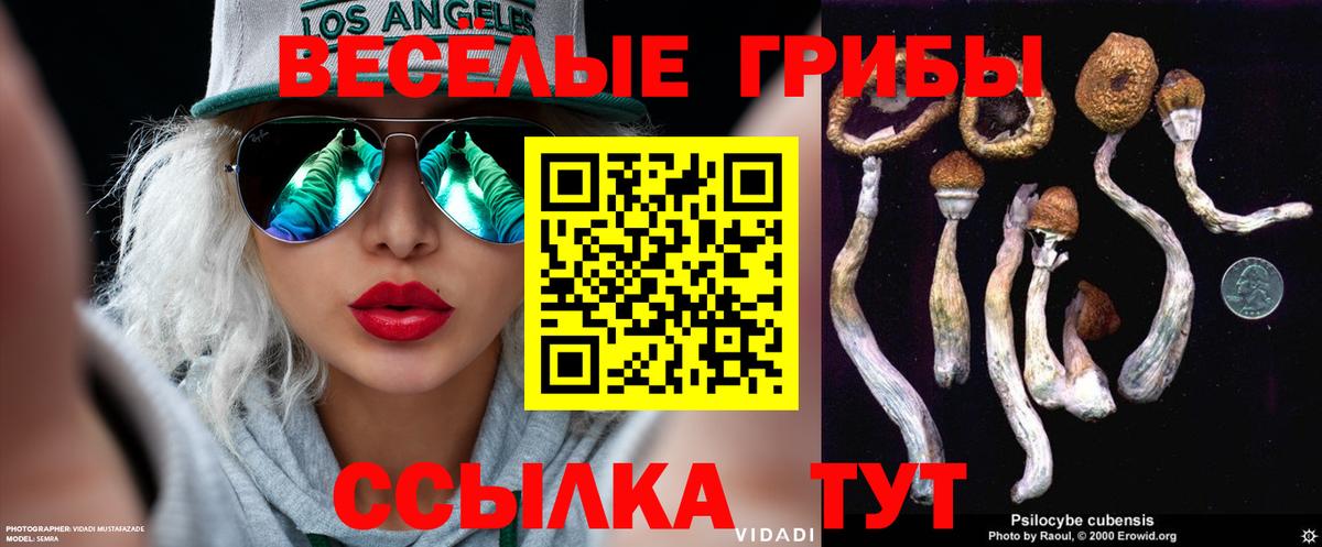Галлюциногенные грибы GOLDEN TEACHER  Галлюциногенные грибы прущие грибы  Вход с VPN  Клинцы 